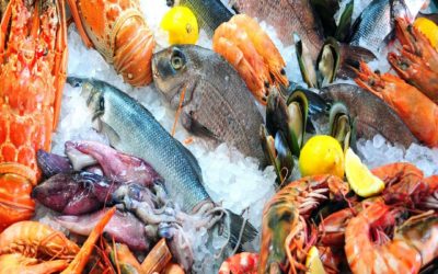 Mercati coperti di Bologna e Milano: luoghi di aggregazione