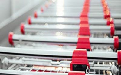 Ecco Sua Maestà, Re del Supermercato: il Carrello della Spesa