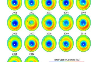Ozono e frigoriferi: riduciamo i CFC e salviamo il Pianeta