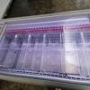 Congelatore Miami 250 AHT + 16 contenitori GN1/2 - immagine 3