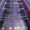 Congelatore Miami 250 AHT + 16 contenitori GN1/2 - immagine 5