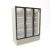 KIWI 1620 3D - MURALE classe climatica C