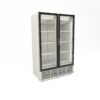 KIWI 1270 2D - MURALE classe climatica C