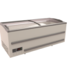 CONGELATORE POZZETTO APPLE BASIC