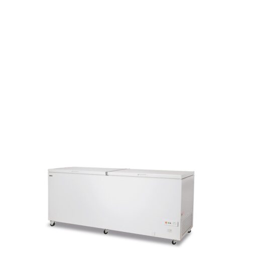 CONGELATORE A POZZETTO FR 600 PS K