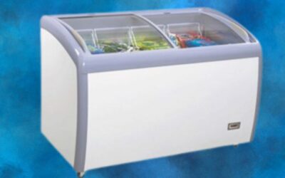 Congelatore a pozzetto AX 300 CFG: la soluzione affidabile per la conservazione professionale