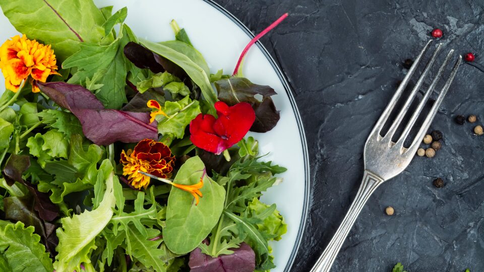 Fiori nel piatto: il business della cucina botanica